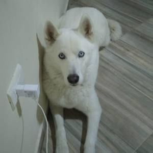 Meet your Posher, Jhon